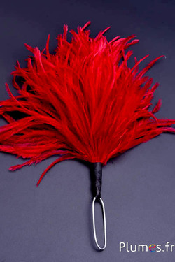Plumet autruche avec anneau - ht 18-20 cm - rouge